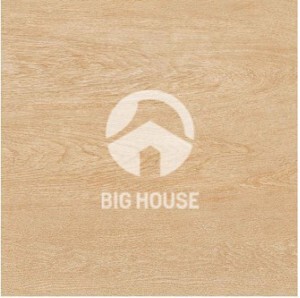 Gạch TTC 30x30 cm FN33008