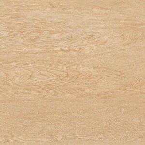 Gạch TTC 30x30 cm FN33008