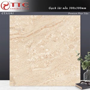 Gạch TTC 30x30 CT33201
