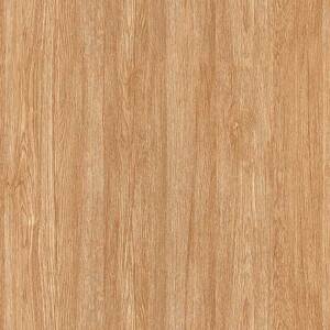 Gạch TTC CPM66201 600×600