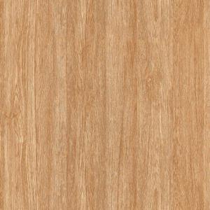 Gạch TTC CPM66201 600×600