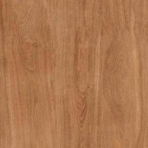 Gạch TTC CPM66202 600×600