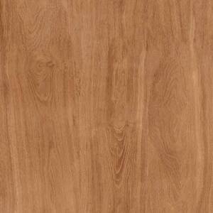 Gạch TTC CPM66202 600×600