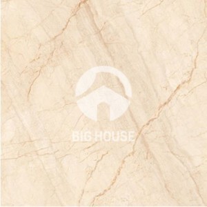 Gạch TTC Porcelain PN66027 800×800