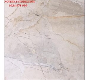 Gạch vi tinh ngọc thạch Ấn Độ 80x80 VA8002