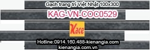 Gạch Việt Nhật COC 529