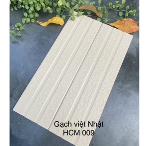 Gạch Việt Nhật HCM 009