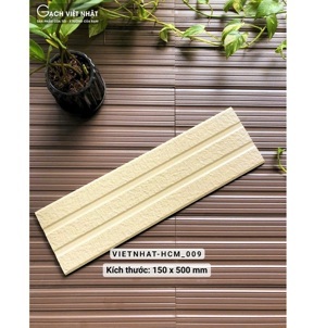 Gạch Việt Nhật HCM 009