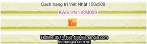 Gạch Việt Nhật HCM 009