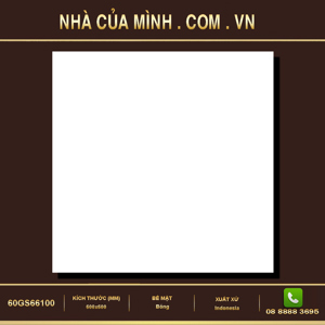 Gạch Vietceramic 60GS66100