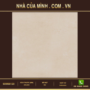 Gạch Vietceramic 60M66120