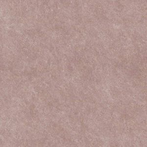 Gạch Vietceramic 60P013B