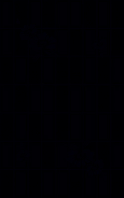 Gạch Viglacera 25×40 Q2541