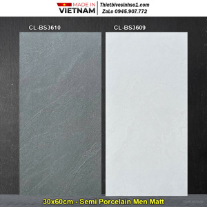 Gạch Viglacera 30x60cm BS3609