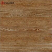 Gạch Viglacera 60x60 G6003