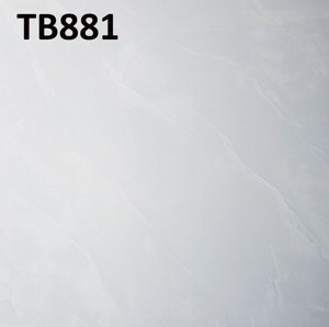 Gạch Viglacera 800x800 TB 881