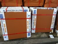 Gạch Viglacera Hạ Long đỏ (30×30)