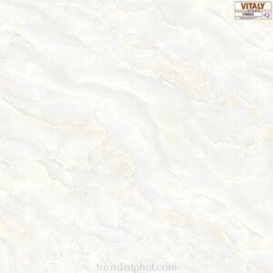 Gạch VITALY 600×600 V6601