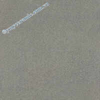 Gạch Ý Mỹ 60x60 N66007S