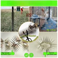 Gai Chim 100cm Cho Chim Bồ Câu Ngoài Trời Và Các Loại Chim Nhỏ Khác, Tài Sản Uốn Và Cuộn Dây Tùy Tiện Tránh Động Vật Leo Núi Hàng Rào Chim Tẩy Giả Gai Có Găng Tay