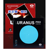 [Gai công] Mặt vợt bóng bàn (Mặt gai ngắn) Yinhe Unranus poly, Unranus pro