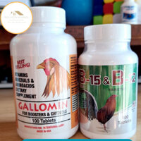 Gallomin, B12 & B15 thuốc gà đá tăng bo tăng cơ nhanh cho gà chọi gà đá gà tre hủ 100 viên