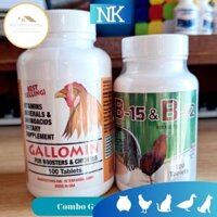 Gallomin, B12 & B15 thuốc gà đá tăng bo tăng cơ nhanh cho gà chọi gà đá gà tre hủ 100 viên