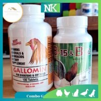Gallomin, B12 & B15 thuốc gà đá tăng bo tăng cơ nhanh cho gà chọi gà đá gà tre hủ 100 viên