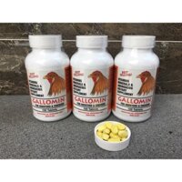 GALLOMIN - THUÔC NUÔI GÀ ĐÁ CAO CẤP