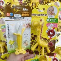 Gặm nướu hươu, chuối, hoa quả Edison nội địa Nhật