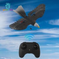 Gamchiano RC Glider Dễ dàng điều khiển Máy bay chiến đấu điều khiển từ xa Máy bay đại bàng cho