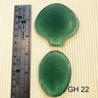 Gân cánh hoa hồ điệp size M set 2 mẫu 1