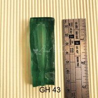 Gân nhụy hoa lan hoàng hậu lớn