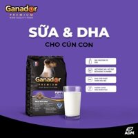 Ganador 3KG Thức Ăn chó nhiều vị ( Chất Lượng )