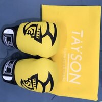 Găng boxing cao cấp