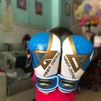 Găng boxing