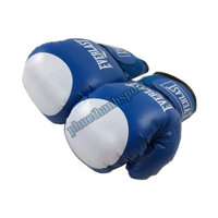Găng đấm boxing Everlast 12oz  - Xanh