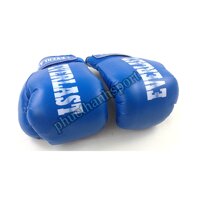 Găng đấm boxing Everlast 8oz - Xanh