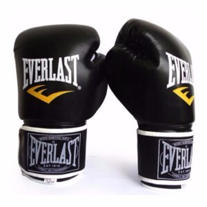 Găng đấm boxing Everlast L1
