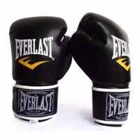 Găng tay Boxing EVERLAST hàng L1