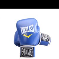 Găng tay boxing everlast