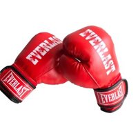 Găng tay boxing everlast