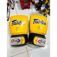 Găng tay Boxing Fairtex Muay Thai Boxing Gloves BGV9 - Heavy Hitter Mexican Style Training & Sparring Gloves Size : 9oz