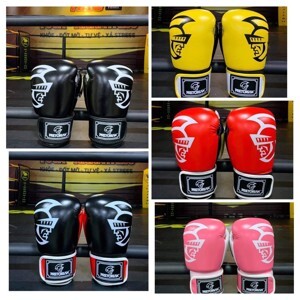 Găng tay Boxing Pretorian