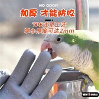 Găng tay chống cắn cho trẻ em, bắt cua, chống kẹp, chống đâm, bảo vệ ngoài trời cho thú cưng, vẹt, chuột hamster, làm vườn