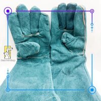 Găng tay chống cắn, đào tạo và giảng dạy thú cưng