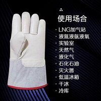 Găng tay chống đông chịu nhiệt độ thấp da bò nitơ lỏng chống lạnh cộng với trạm xăng bông đá khô kh