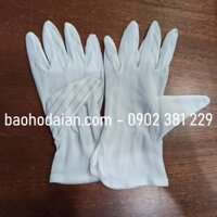 Găng tay chống tĩnh điện Vải Polyester (5 đôi)