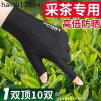 Găng Tay Đặc Biệt Cho Trà Chọn Kem Chống Nắng Nữ Kích Thước Nhỏ Trà Chọn Nửa Cánh Mỏng Phong Cách Chuyên Nghiệp Trà Chọn Trà Sương Hai Cánh Chống Thấm Nước