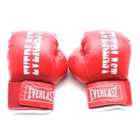 Găng tay đấm bốc Everlast